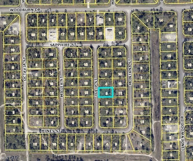 1850 Tulip ST LEHIGH ACRES, FL 33972
