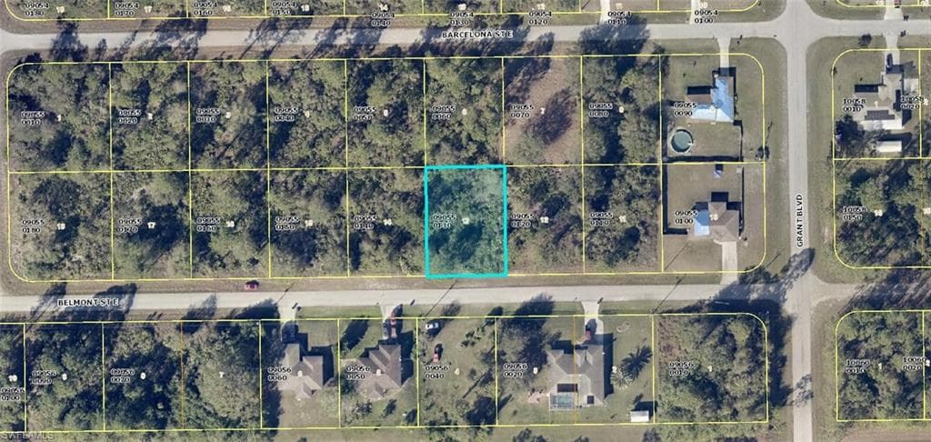 1041 Belmont ST E LEHIGH ACRES, FL 33974