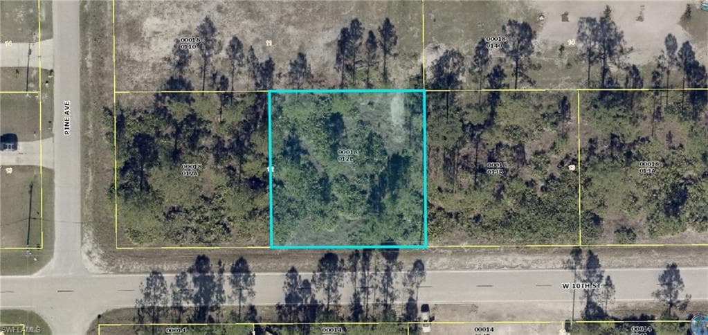 2004 W 10th ST LEHIGH ACRES, FL 33972