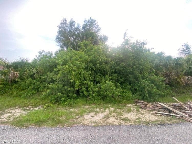 513 Poinsettia AVE LEHIGH ACRES, FL 33972