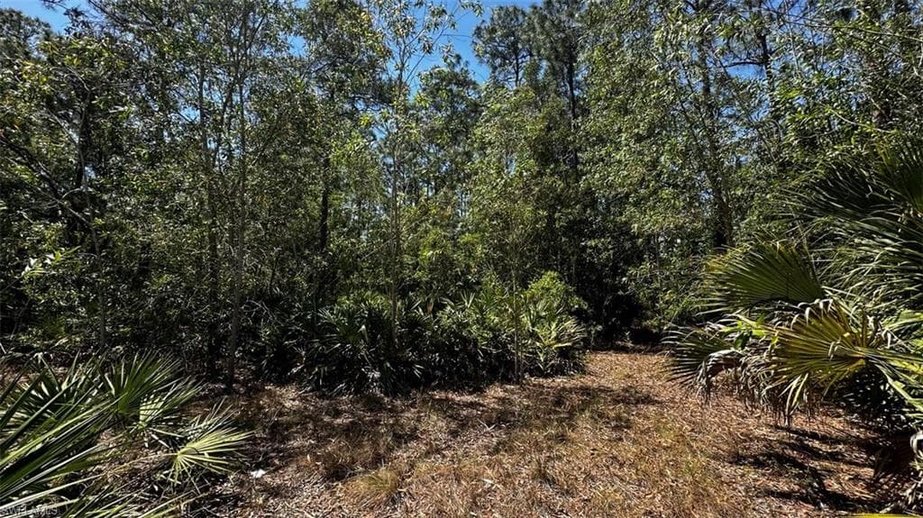 103 Leroy AVE LEHIGH ACRES, FL 33936