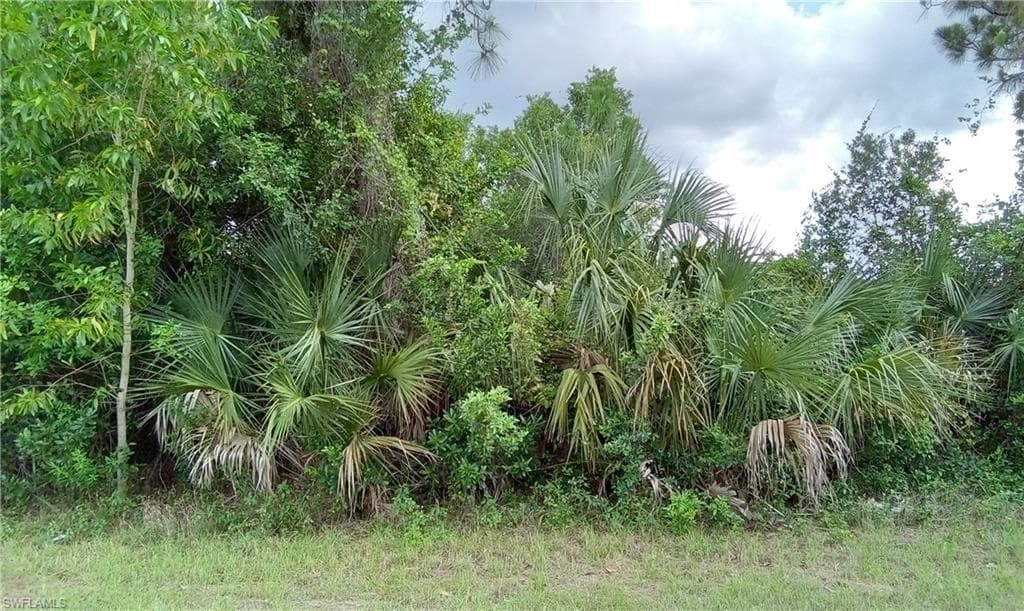 716 Theodore Vail ST E LEHIGH ACRES, FL 33974