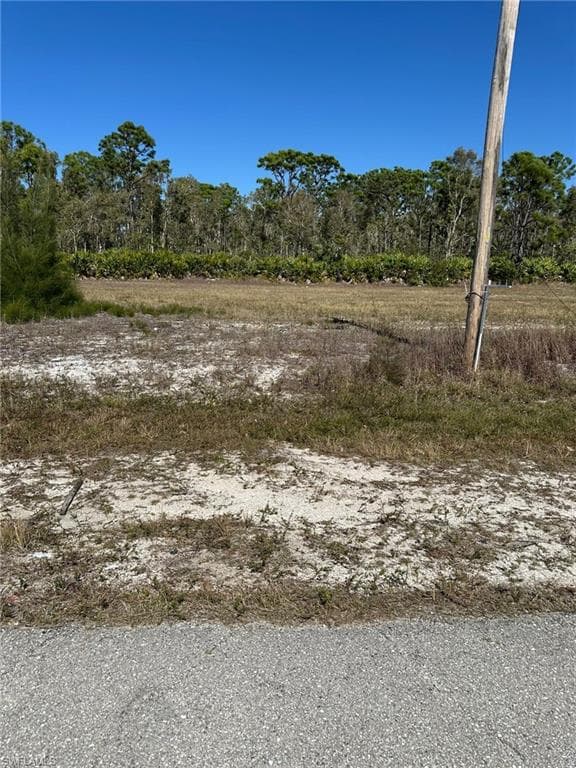 4105 NW 22nd TER CAPE CORAL, FL 33993