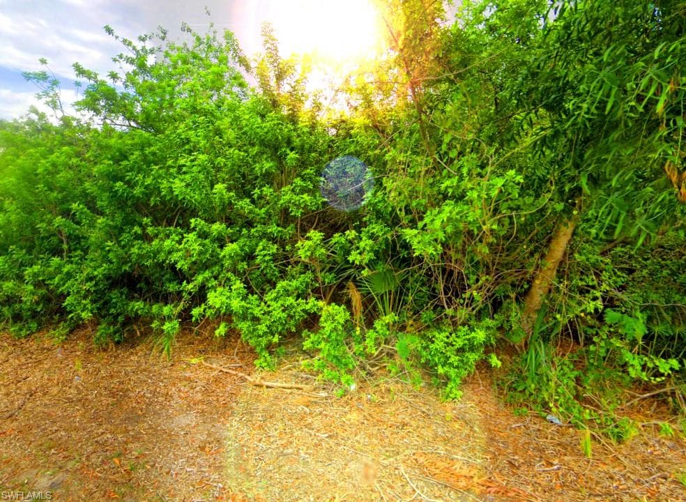 1204 Flora AVE N LEHIGH ACRES, FL 33971