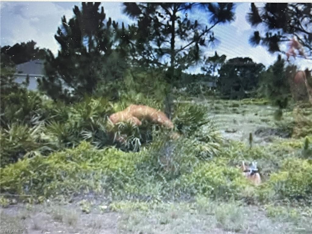 740 Newhall ST E LEHIGH ACRES, FL 33974