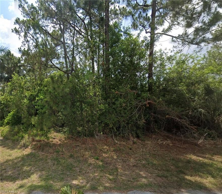 2017 Monroe AVE ALVA, FL 33920