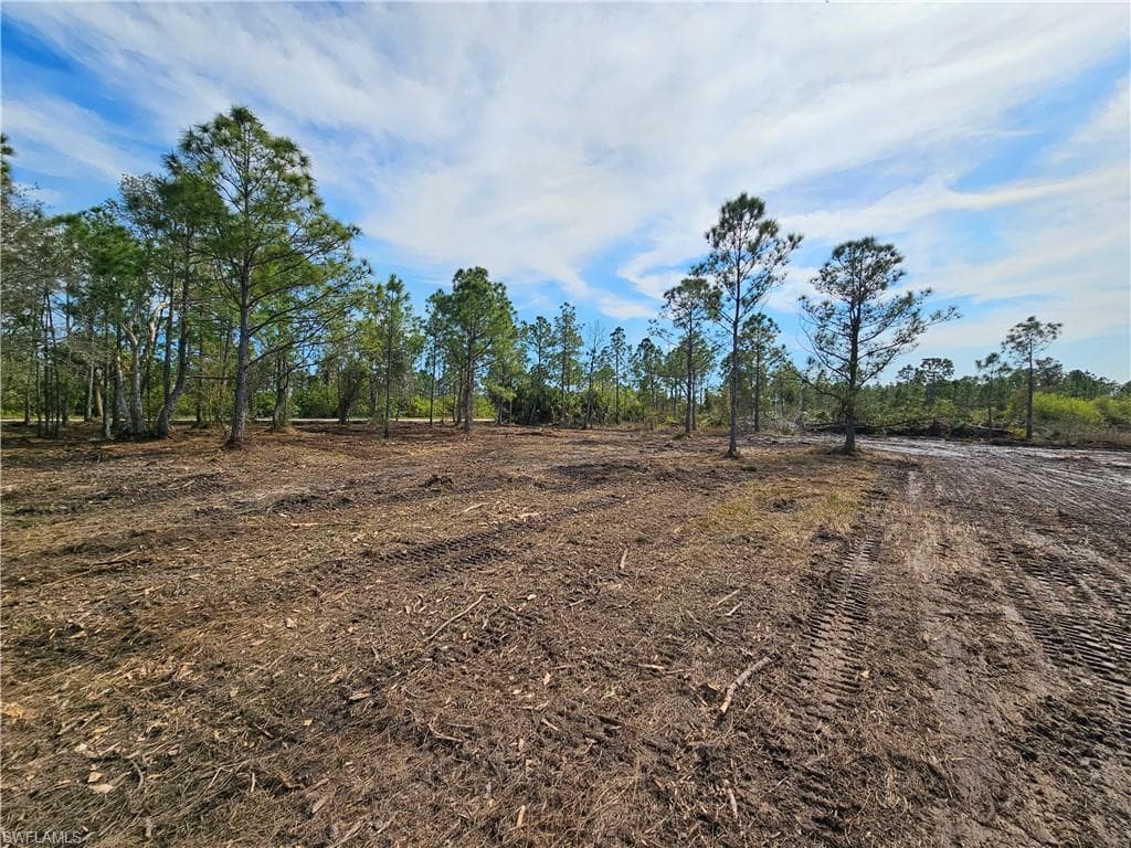 29391 Polk DR PUNTA GORDA, FL 33982