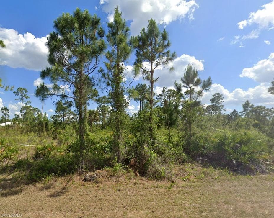 1130 Dutchess ST E LEHIGH ACRES, FL 33974
