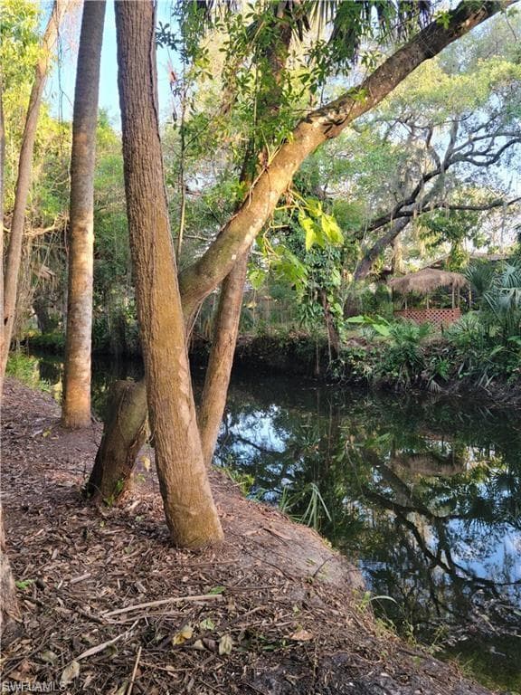 16470 Daughtreys Creek parcel A RD NORTH FORT MYERS, FL 33917