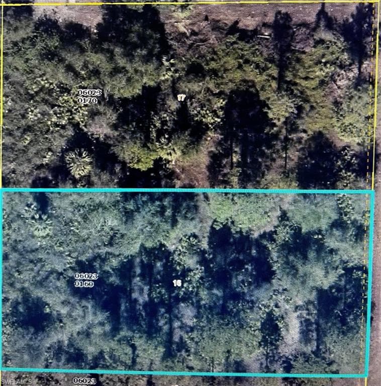 1307 & 1309 Pine Ave LEHIGH ACRES, FL 33972