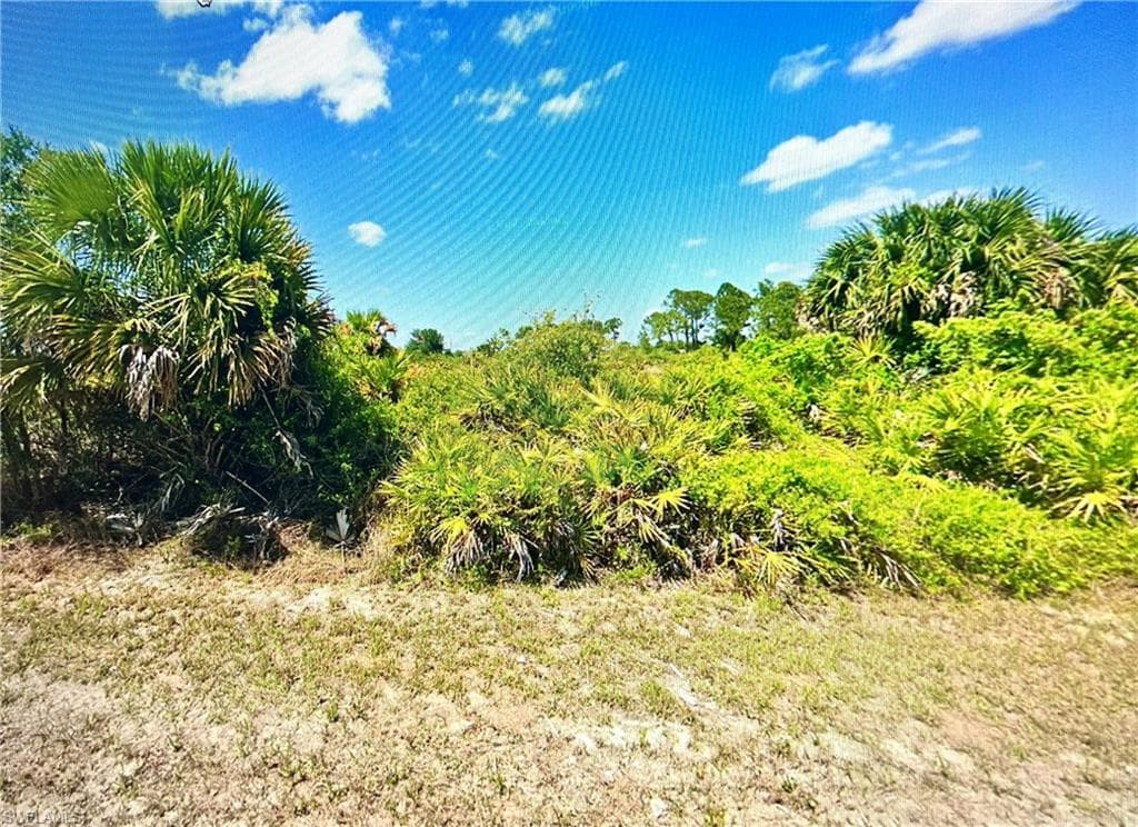 725 Central ST E LEHIGH ACRES, FL 33974
