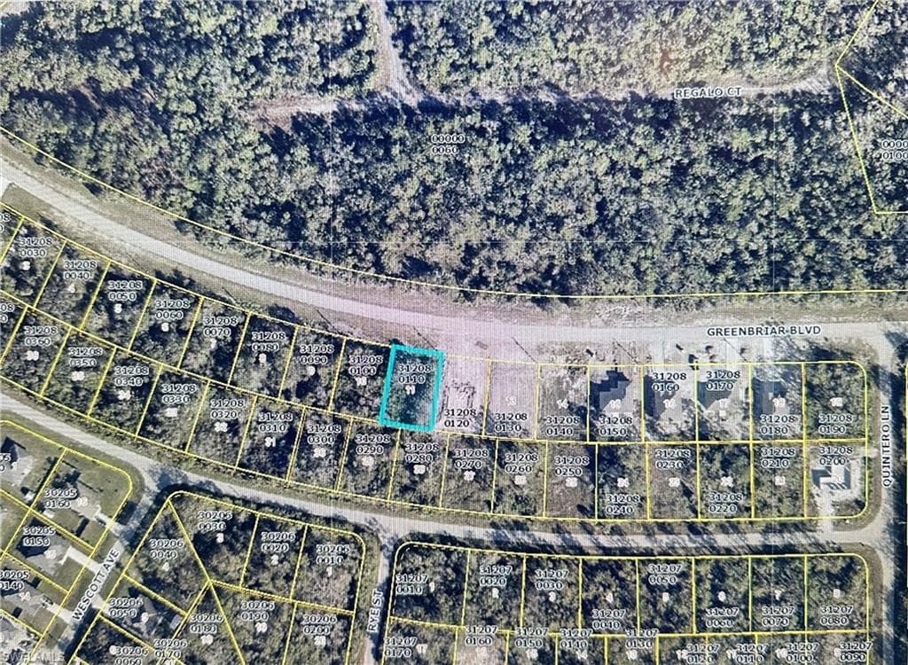 541 Greenbriar BLVD LEHIGH ACRES, FL 33972