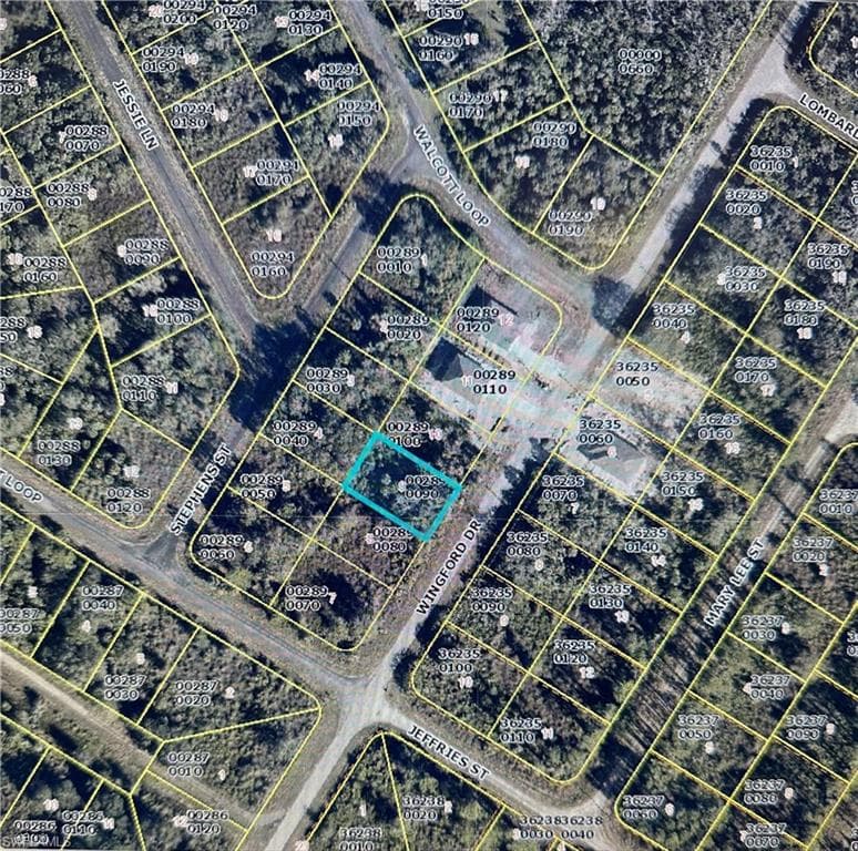 1919 Wingford DR LEHIGH ACRES, FL 33972