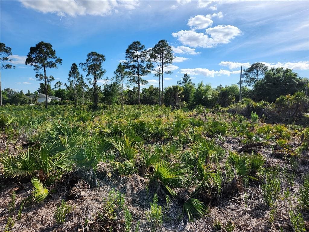 6016 Vera AVE N LEHIGH ACRES, FL 33971
