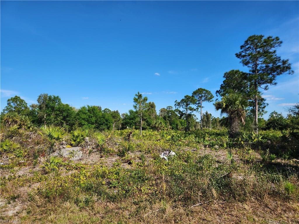 6014 Vera AVE N LEHIGH ACRES, FL 33971