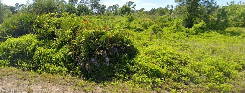 1521 Poinsettia AVE LEHIGH ACRES, FL 33972