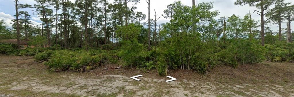 117 Louis AVE LEHIGH ACRES, FL 33936