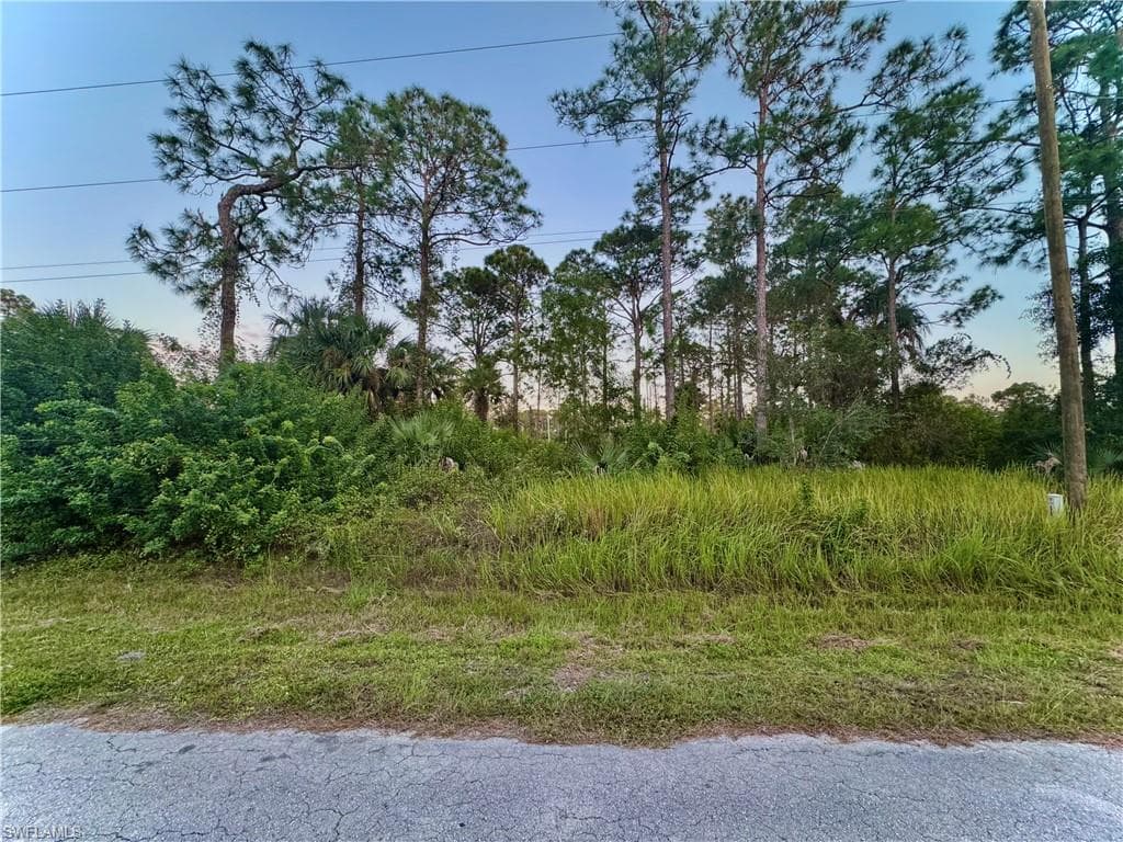 810 Magnolia AVE LEHIGH ACRES, FL 33972
