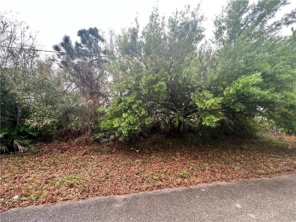 836 Carpenter ST E LEHIGH ACRES, FL 33974
