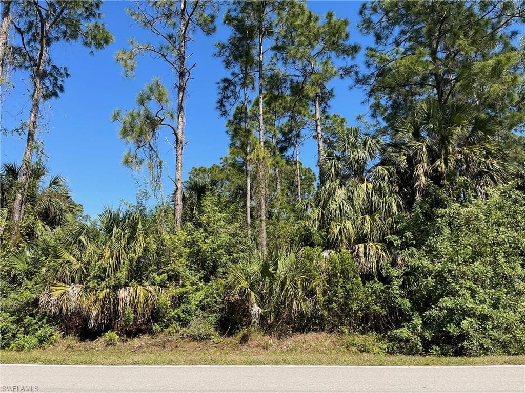 18th AVE NE NAPLES, FL 34120