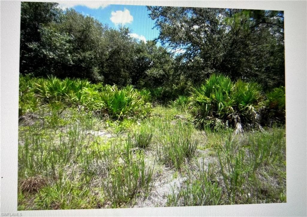 1006 Abbott AVE LEHIGH ACRES, FL 33972