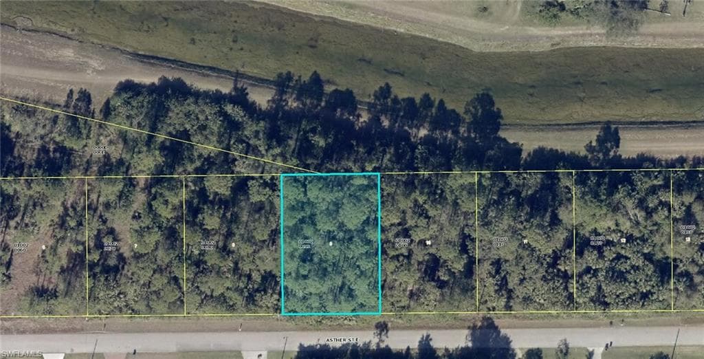 929 Asther ST E LEHIGH ACRES, FL 33974