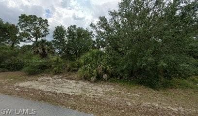 2317 Fitch AVE ALVA, FL 33920