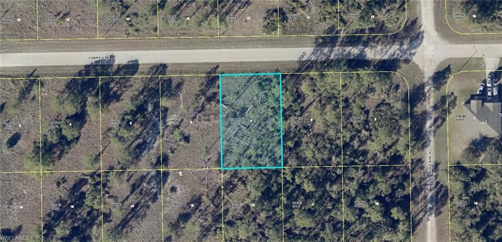 1118 Corry ST E LEHIGH ACRES, FL 33974