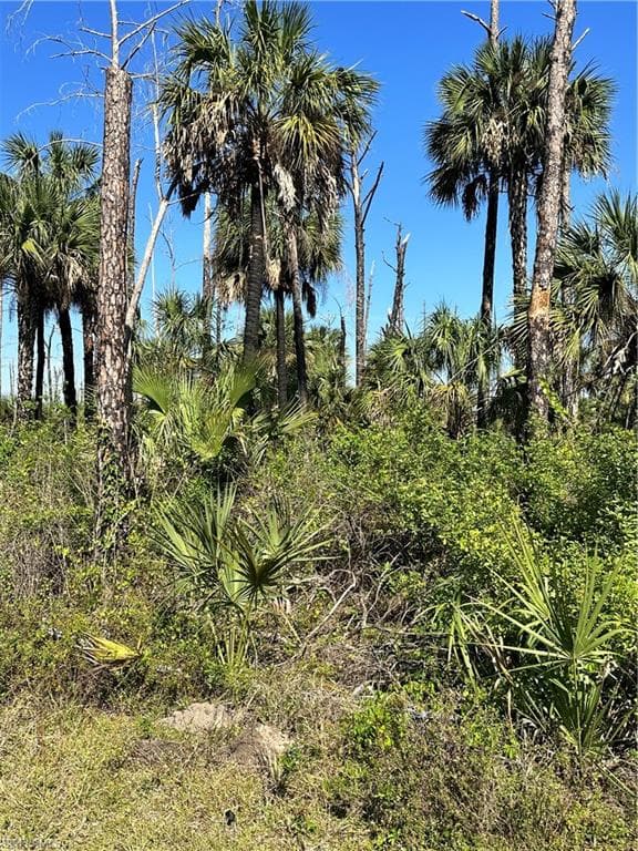 14TH AVE SE NAPLES, FL 34117