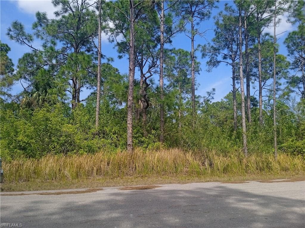 2810 18th ST W LEHIGH ACRES, FL 33971