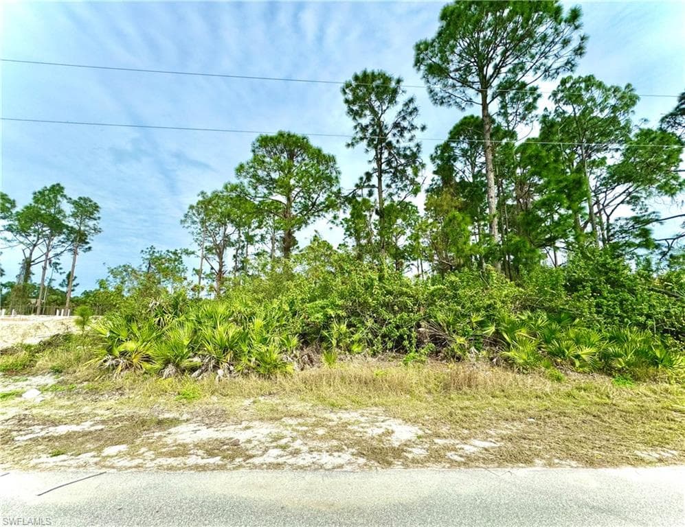 1117 Augusta ST E LEHIGH ACRES, FL 33974