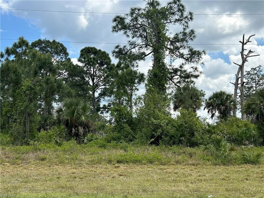 347 Columbus BLVD S LEHIGH ACRES, FL 33974