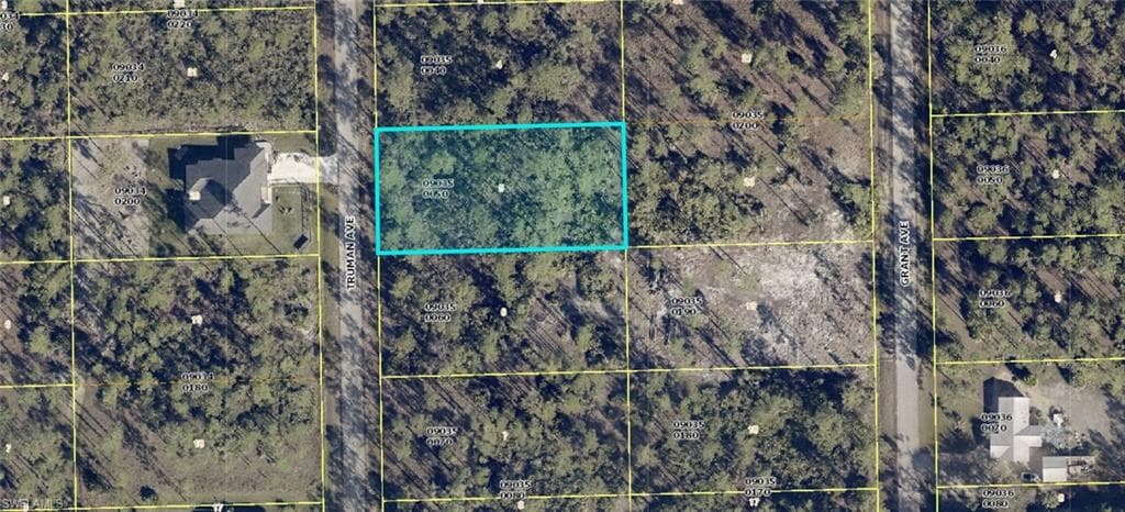 2214 Truman AVE ALVA, FL 33920