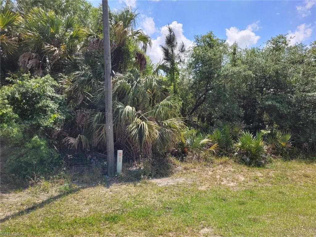 8009 Cod CT LABELLE, FL 33935
