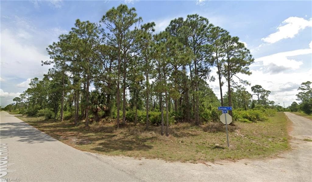 1103 Galileo ST E LEHIGH ACRES, FL 33974