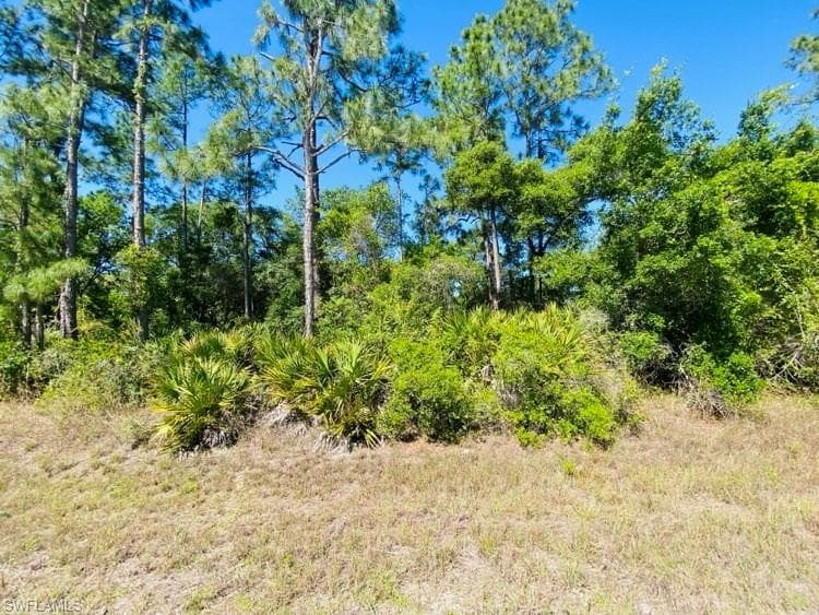 2405 Louis AVE ALVA, FL 33920