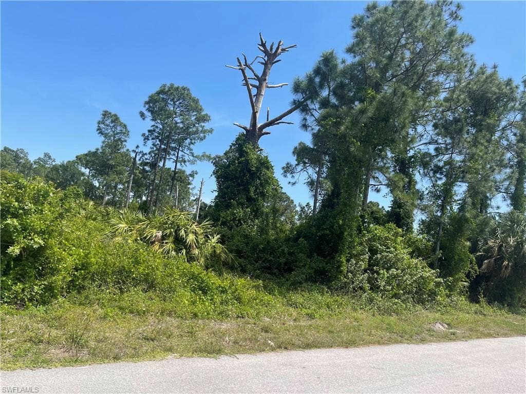 767 Gaylord AVE S LEHIGH ACRES, FL 33974