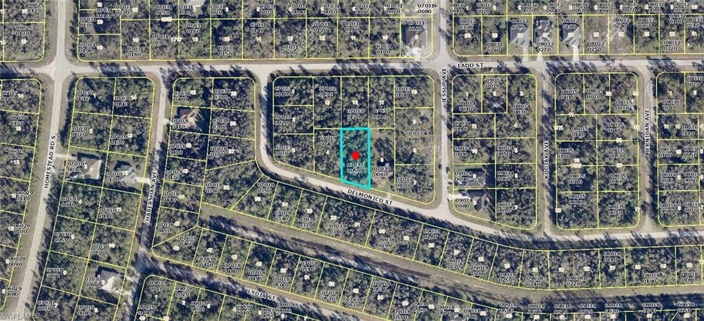 625 Delmonico ST LEHIGH ACRES, FL 33974