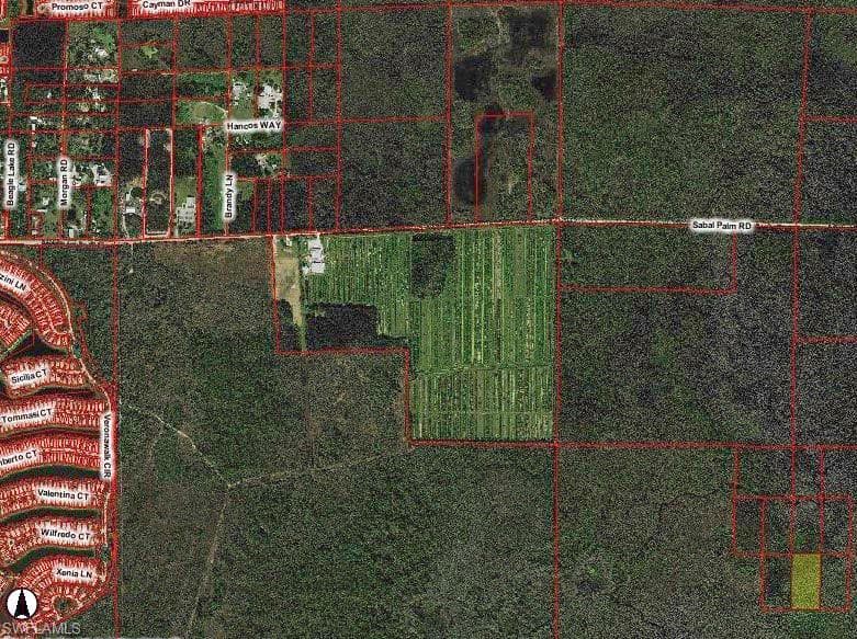 0 South of Sabal Palm RD NAPLES, FL 34114