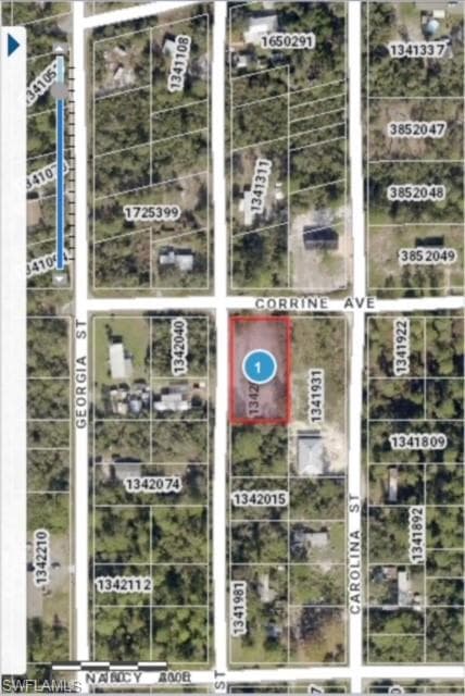 0 Virginia ST PAISLEY, FL 32767