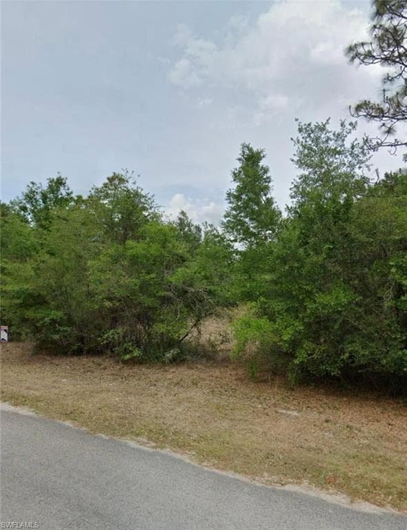 9343 N China Pink WAY CRYSTAL RIVER, FL 34428