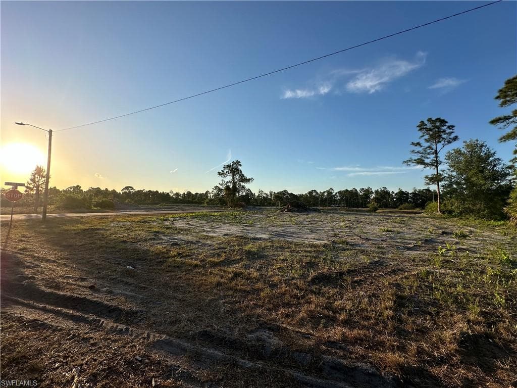 1103 Antonio ST E LEHIGH ACRES, FL 33974