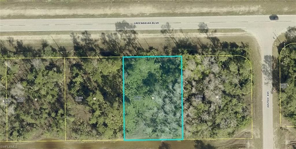 307 Greenbriar BLVD LEHIGH ACRES, FL 33972