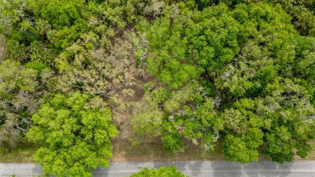 March LN LABELLE, FL 33935
