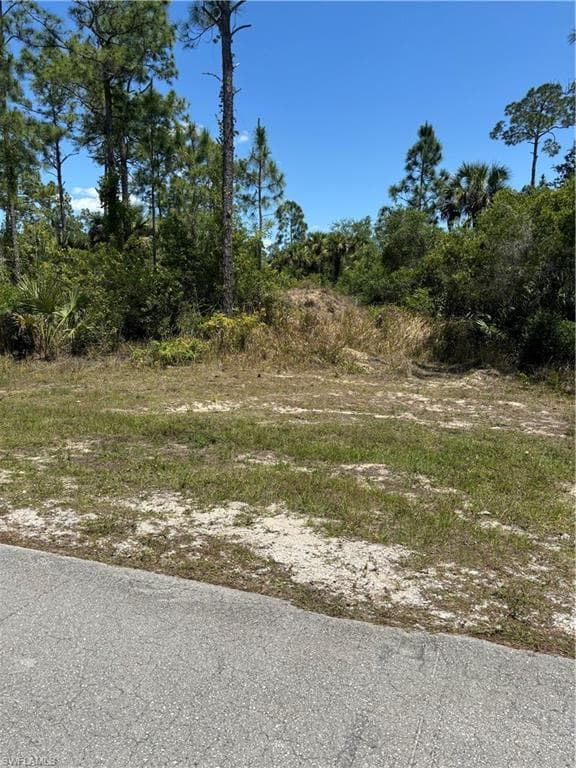 2320 Moore AVE ALVA, FL 33920