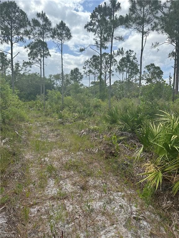 5833 Stewart LN LABELLE, FL 33935
