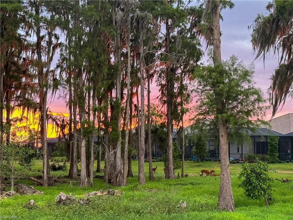 6023 Ellerston WAY 1816 AVE MARIA, FL 34142