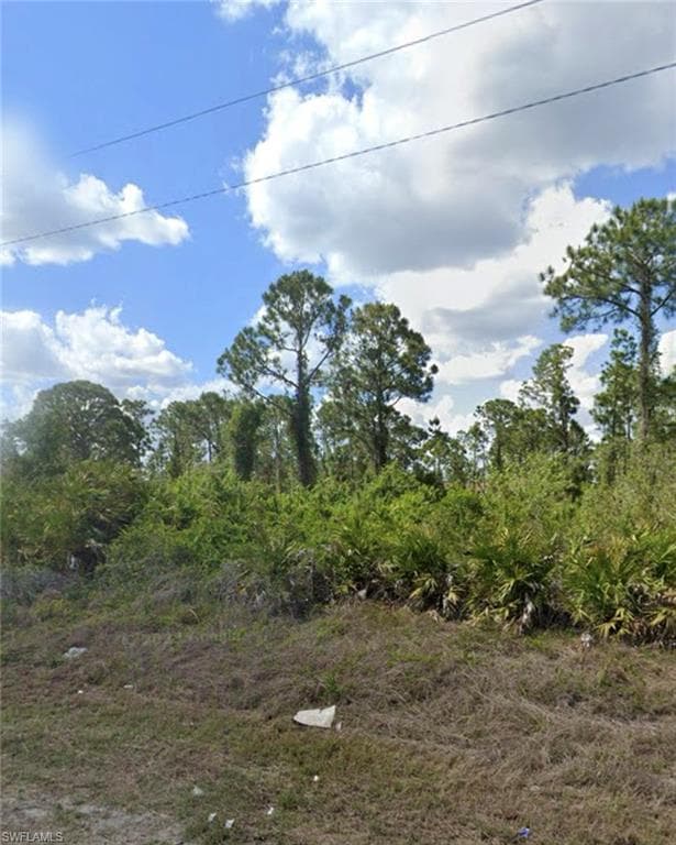 1141 Deauville ST E LEHIGH ACRES, FL 33974