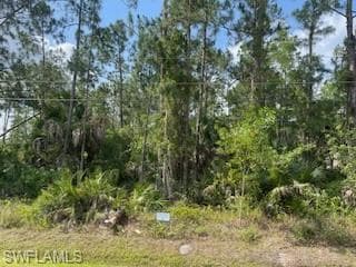 3990 33rd AVE NE NAPLES, FL 34120