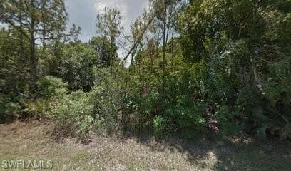 705 10th ST W LEHIGH ACRES, FL 33972